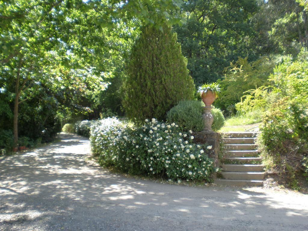 Quinta Da Vargem Unhais Da Serra Eksteriør bilde
